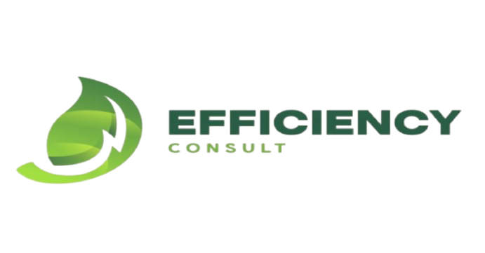 Efficiency Consult PLC